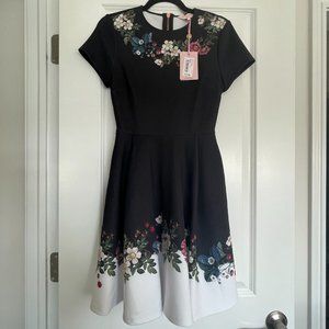 NWT Ted Baker A-Line Floral Dress